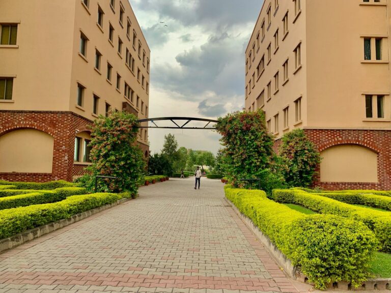 Bachelor of Business Administration (BBA)